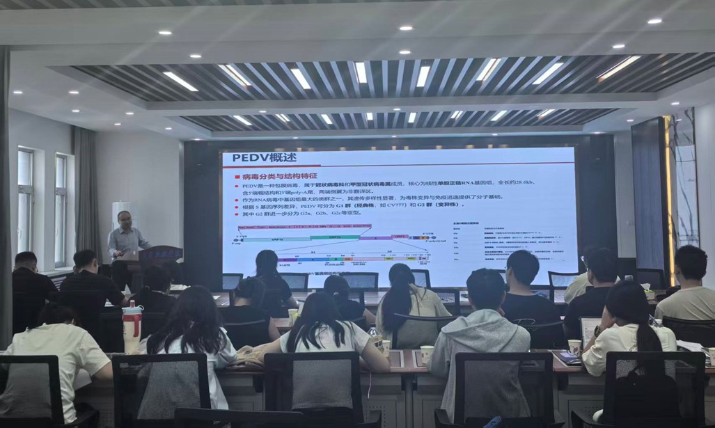 0601图片1.jpg